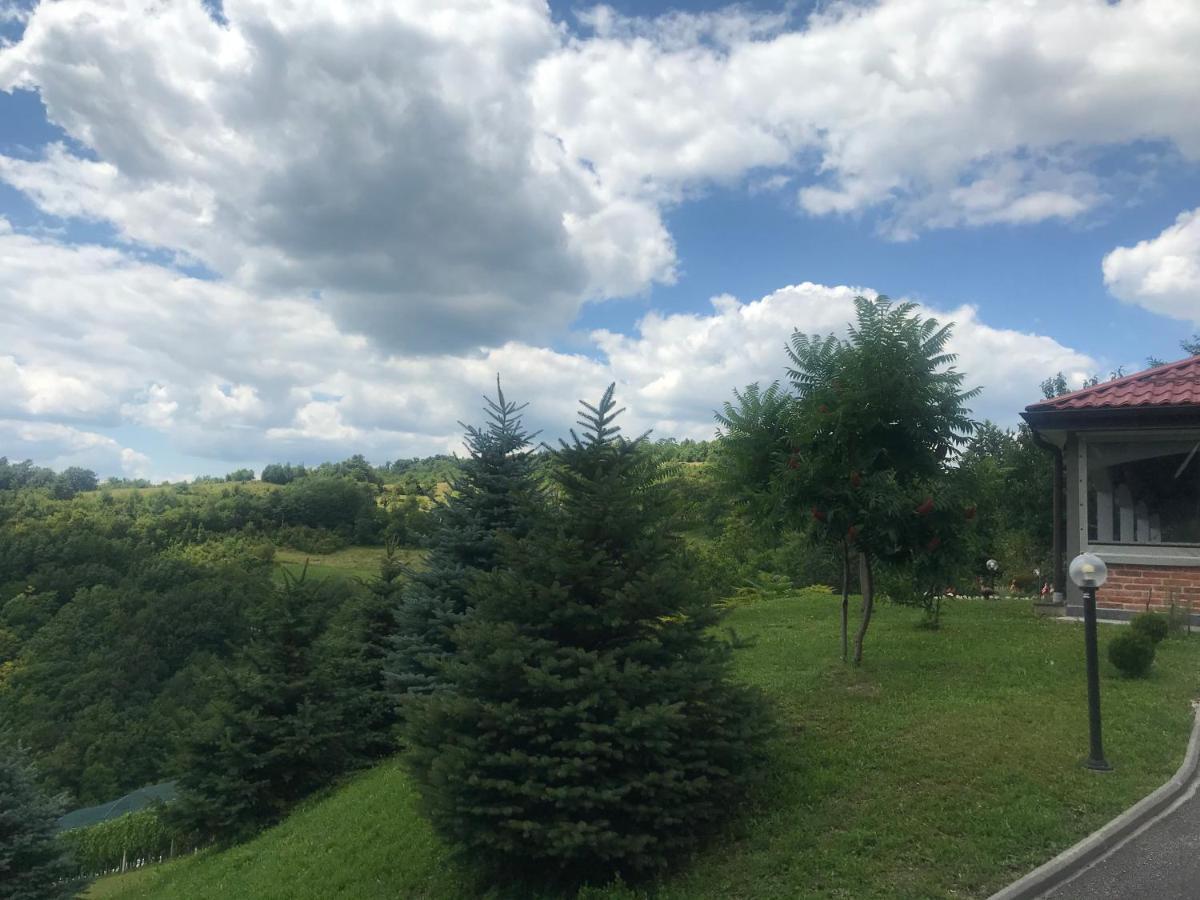 Apartament Kuca Za Odmor Magdalena&V Krapina Zewnętrze zdjęcie