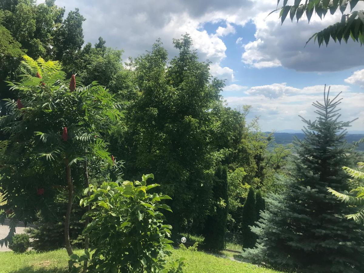Apartament Kuca Za Odmor Magdalena&V Krapina Zewnętrze zdjęcie